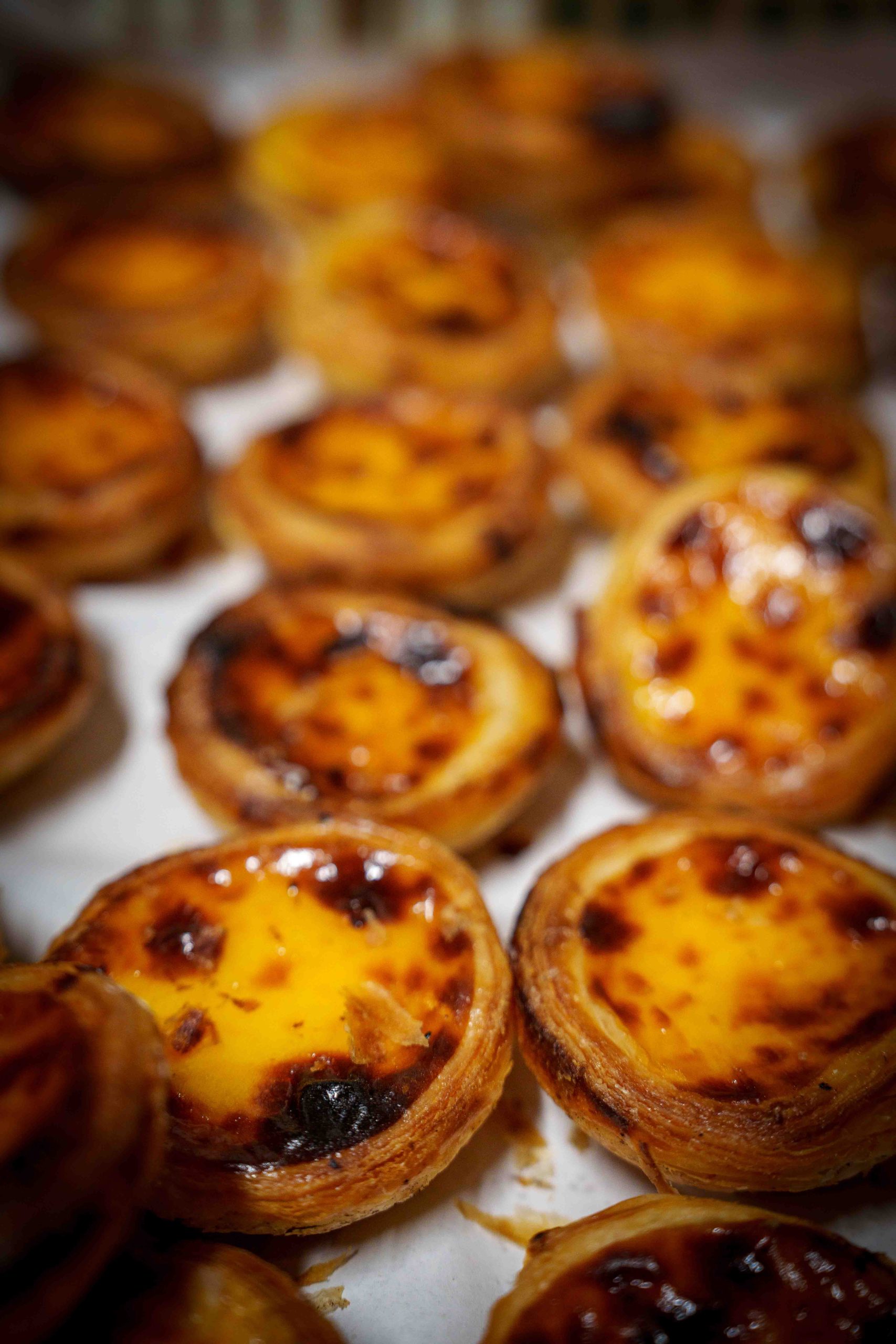 silvapain- sion-pasteis-de-nata